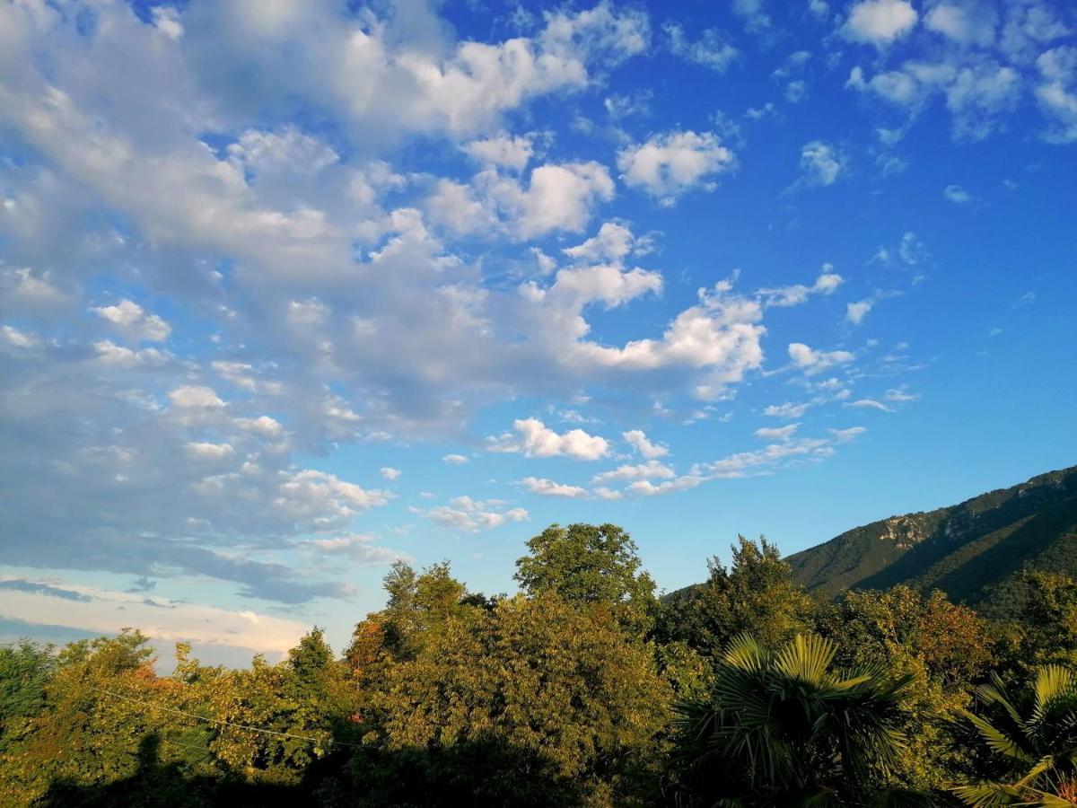 Agriturismo Da Andreina Bed and Breakfast Borso del Grappa Buitenkant foto